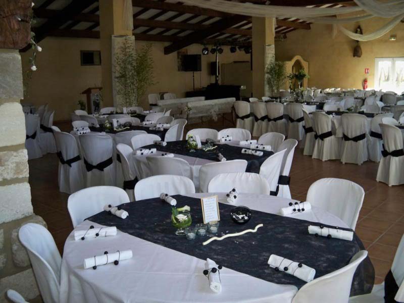 Manade Espelly Blanc_30800 SAINT GILLES_11